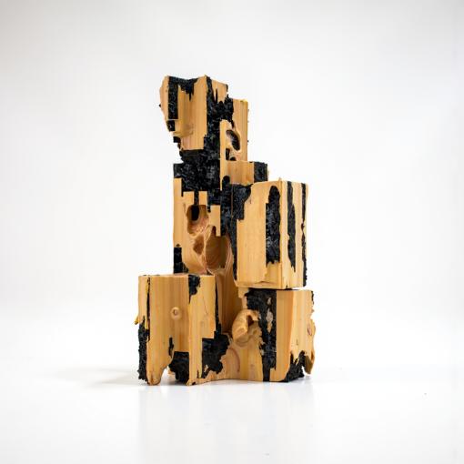 Burnt wood memory artifact, study 3